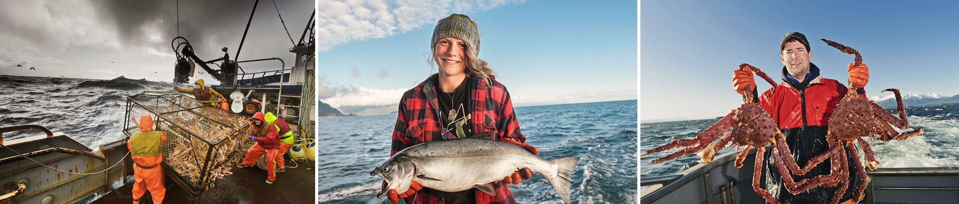 State of washington fisheries jobs